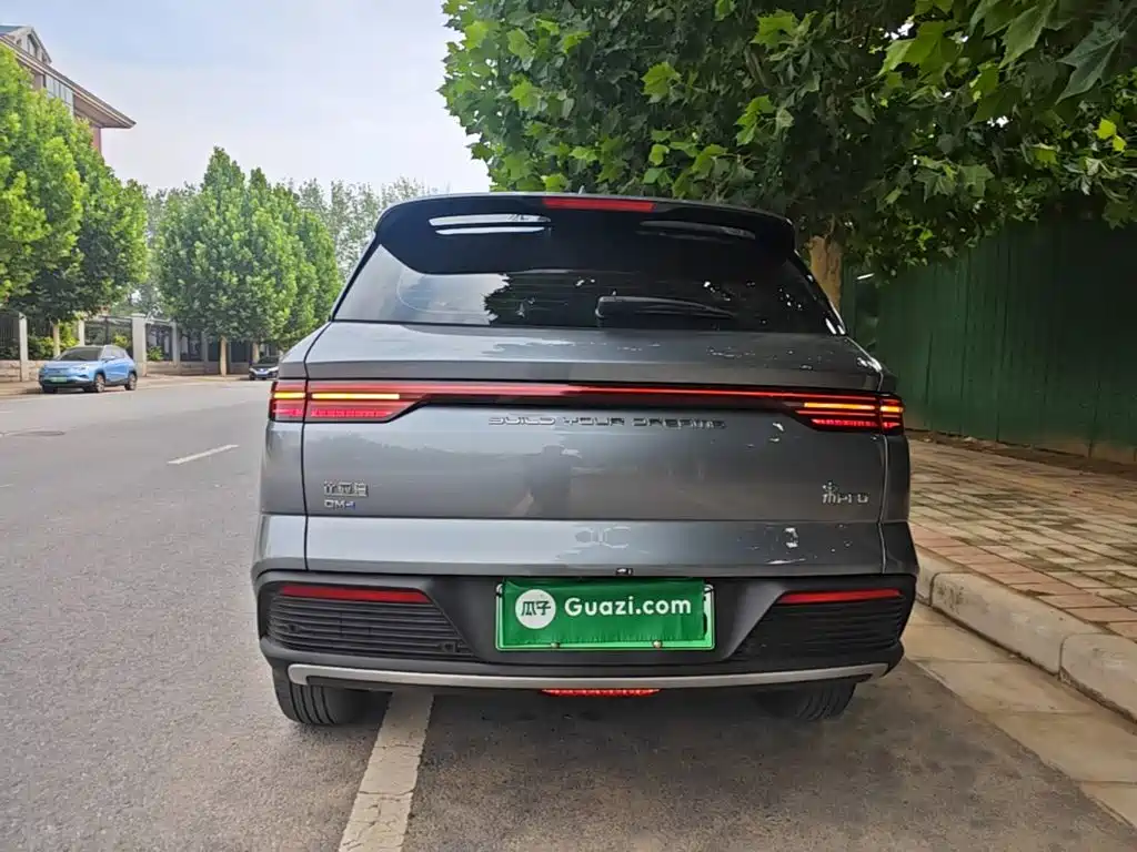 BYD Pro New Energy 2024 — фото 6