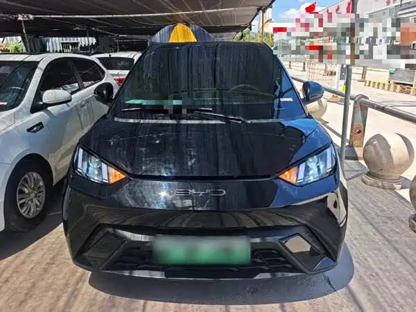 BYD Seagull 2024