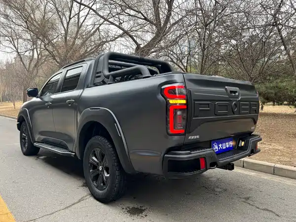 Great Wall Poer 2021