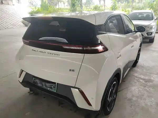 BYD Seagull 2024