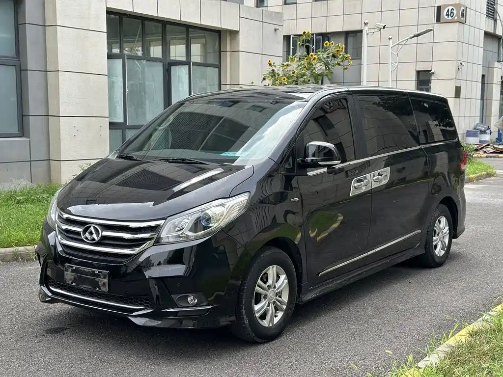 Maxus G10 2019