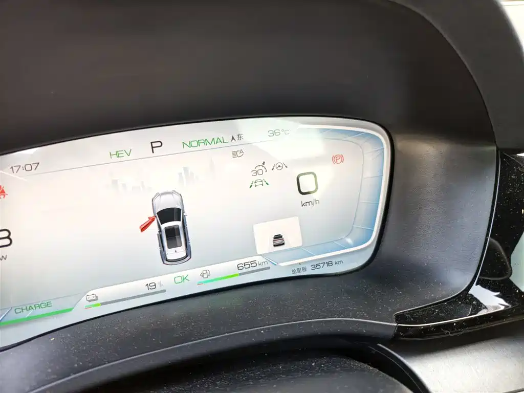 BYD PLUS New Energy 2024 — фото 4