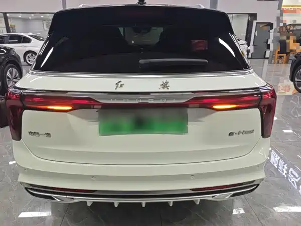 Hongqi E-HS9 2023