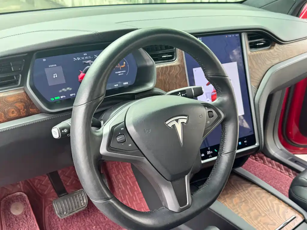 Tesla Model X 2020 — фото 9