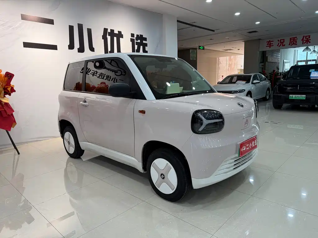 Zhidou Zhido Rainbow 2024