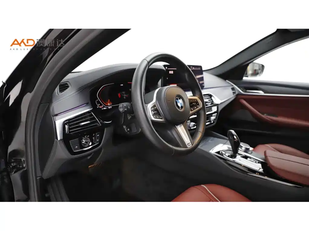 BMW 5 Series 2021