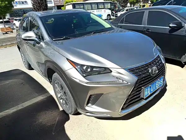 Lexus NX 2020