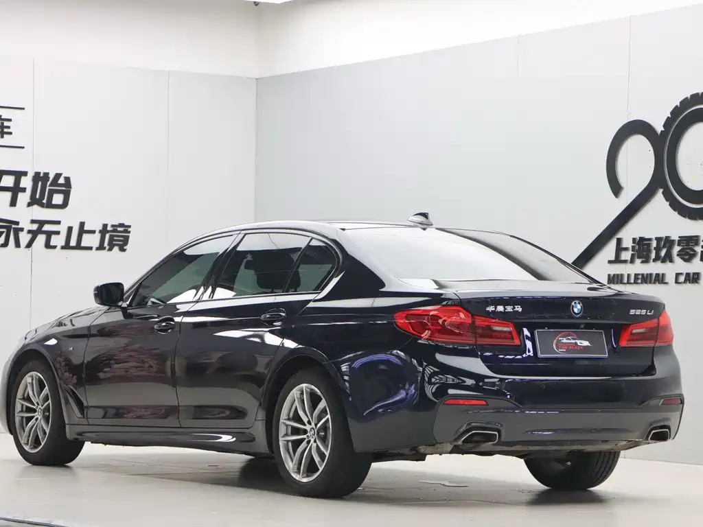 BMW 5 Series 2019
