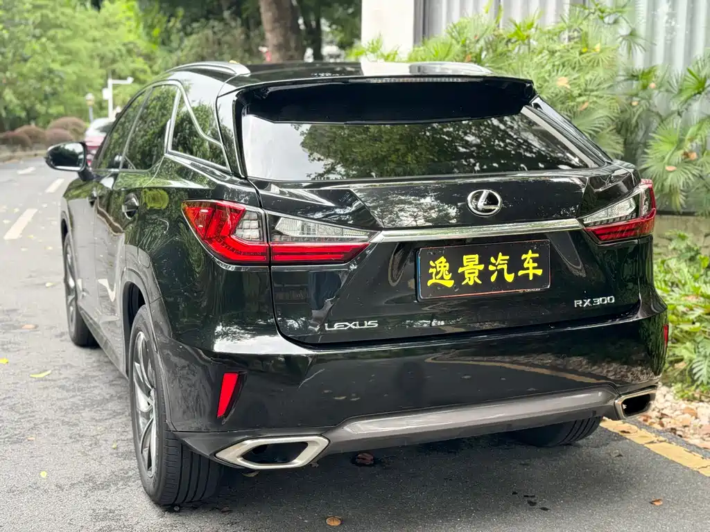 Lexus RX 2019 — фото 21