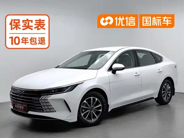 BYD Destroyer 05 2024