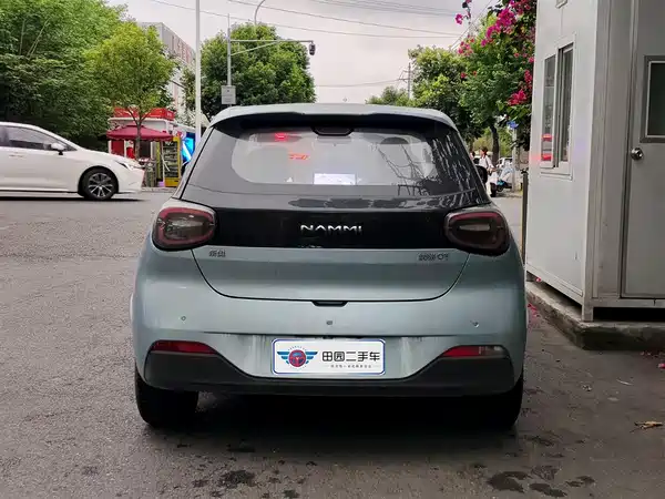 Dongfeng Nano 01 2024