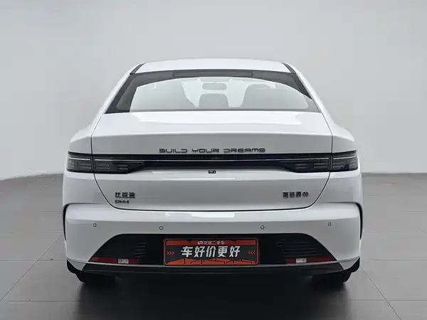 BYD Destroyer 05 2024