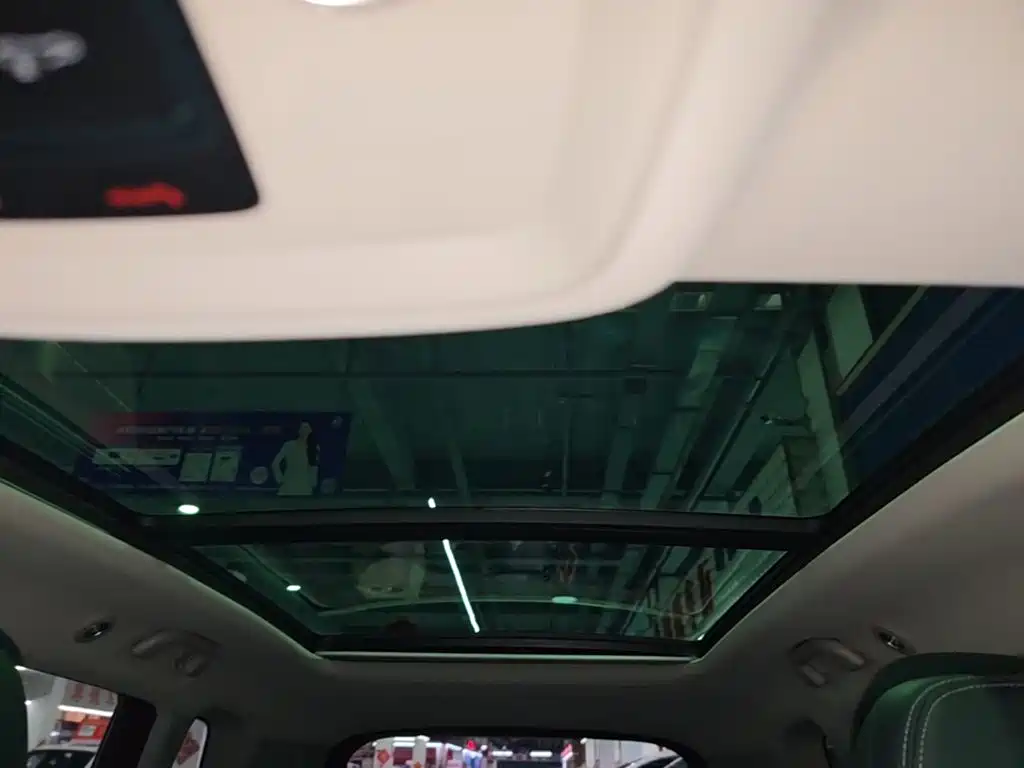BYD Pro New Energy 2020 — фото 18