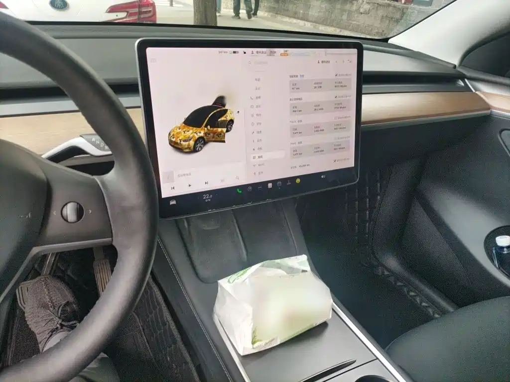 Tesla Model Y 2021