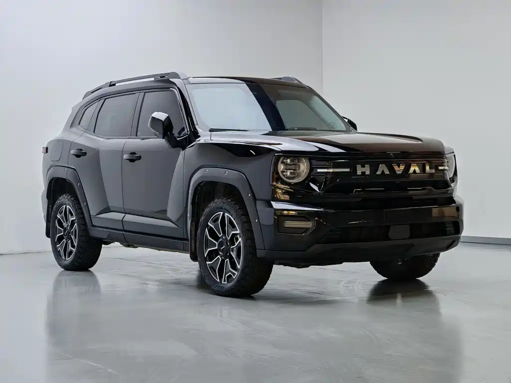 Haval Dargo PLUS EV 2025 — фото 3