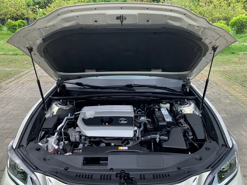 Lexus ES 2019