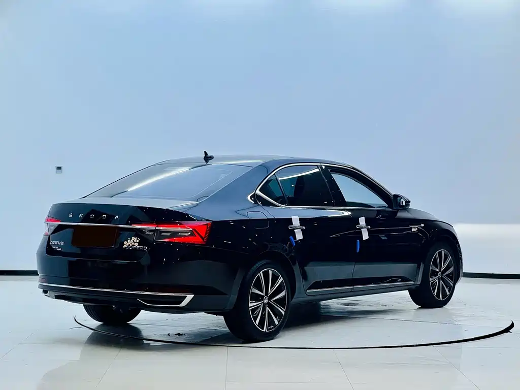 Skoda Speedy 2024