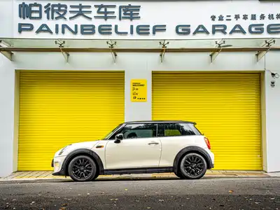 MINI MINI 2017
