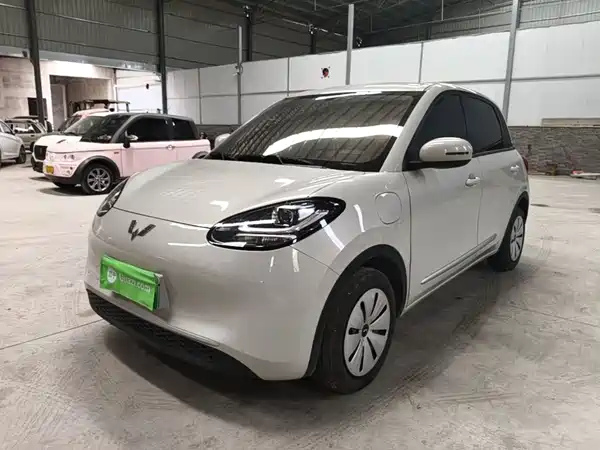 Wuling Bingo 2024