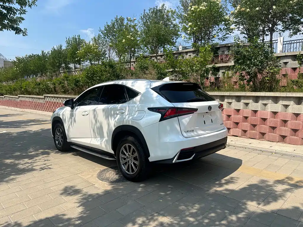 Lexus NX 2021 — фото 8