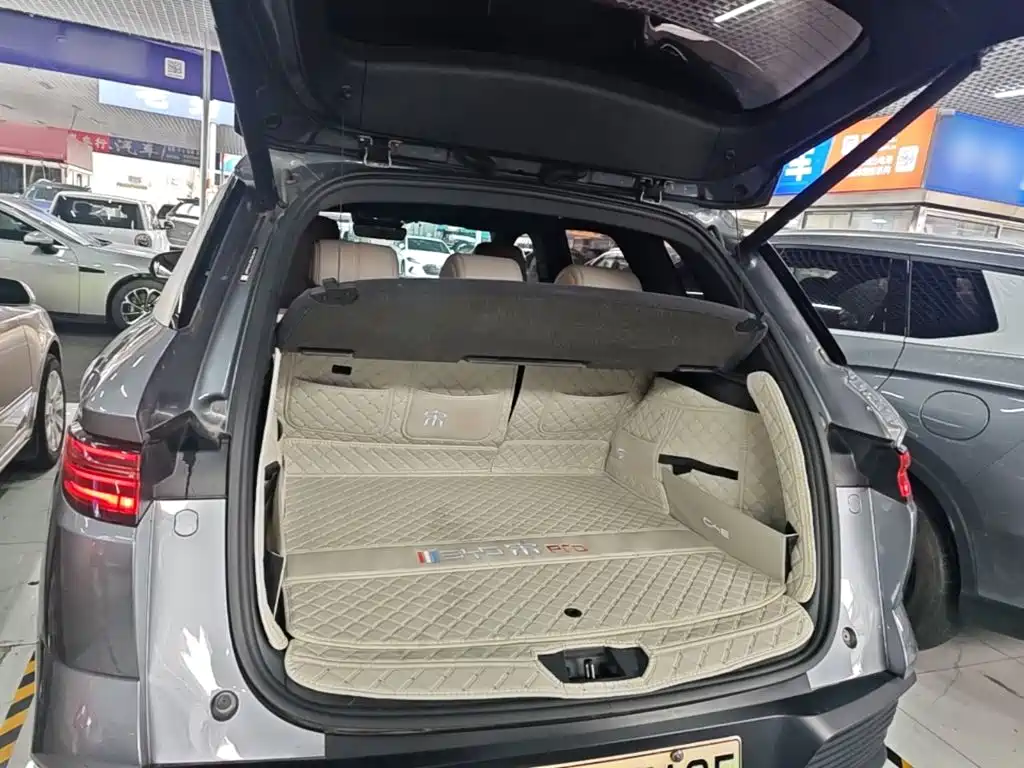 BYD Pro New Energy 2024 — фото 19