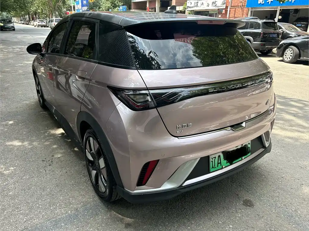BYD Dolphin 2022