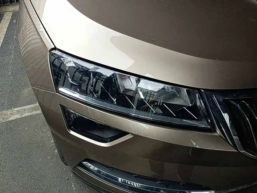 Skoda Karoq 2019 — фото 13