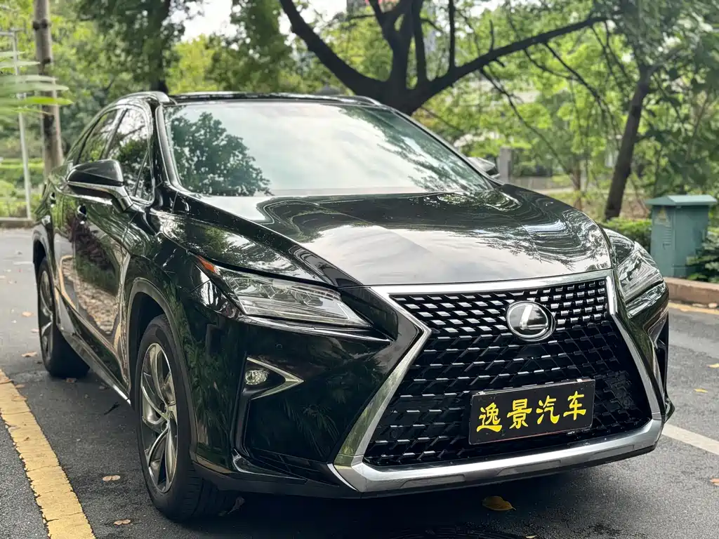 Lexus RX 2019 — фото 20