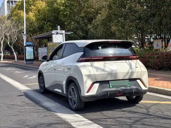 BYD Seagull 2024