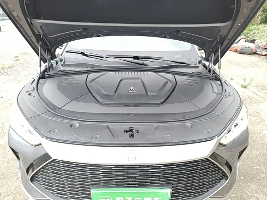 BYD PLUS New Energy 2022 — фото 20
