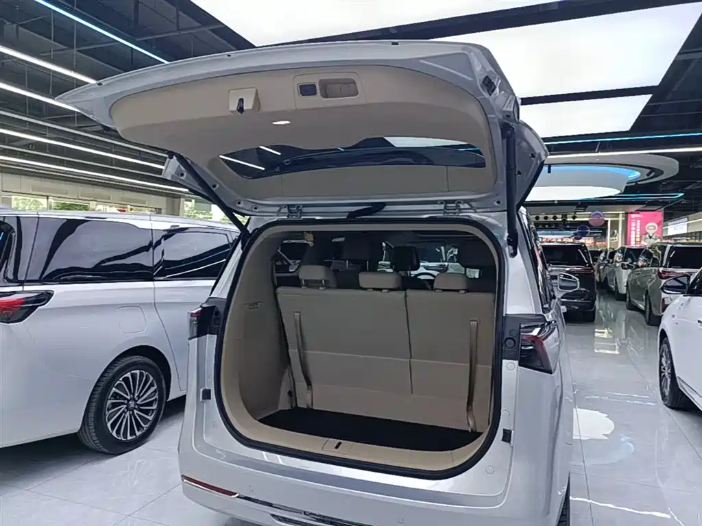 Buick GL8 Hybrid 2025 — фото 19