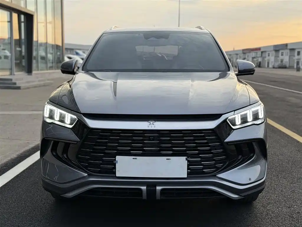 BYD Pro New Energy 2024 — фото 2