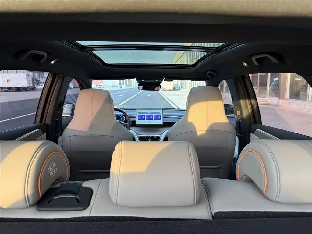 BYD Pro New Energy 2024 — фото 20