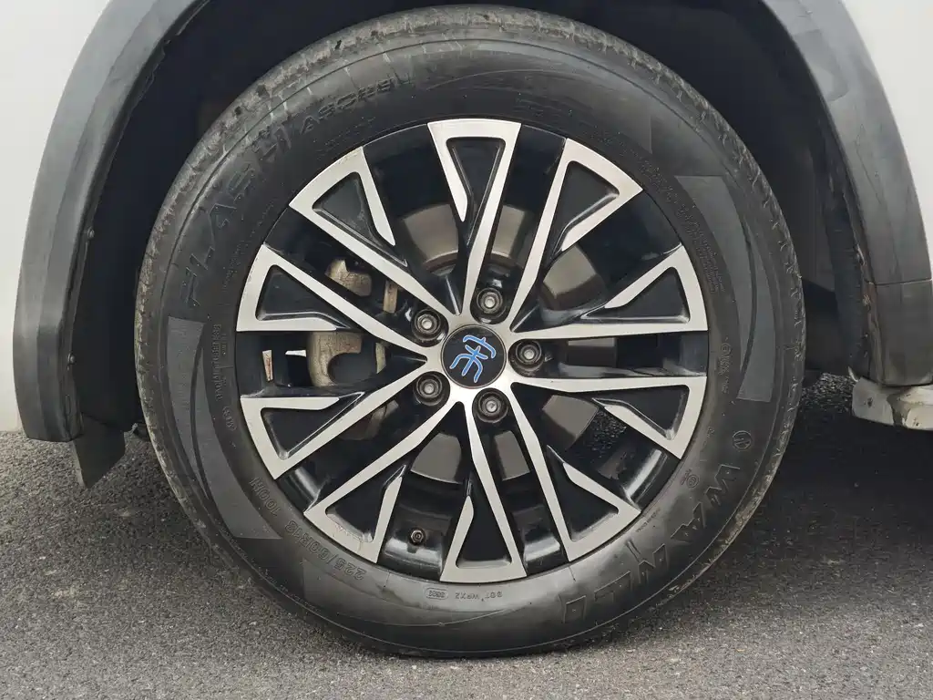 BYD New Energy 2018