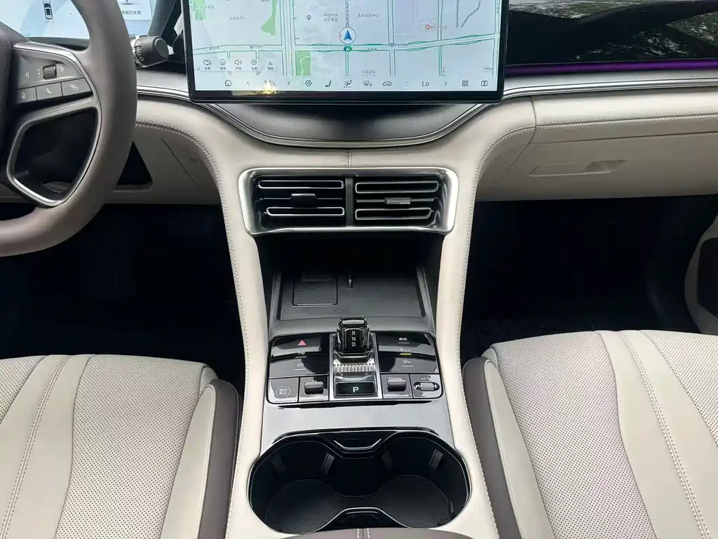 BYD PLUS New Energy 2025 — фото 16