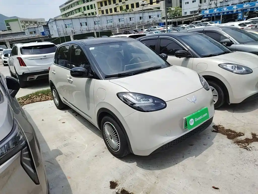 Wuling Bingo 2024