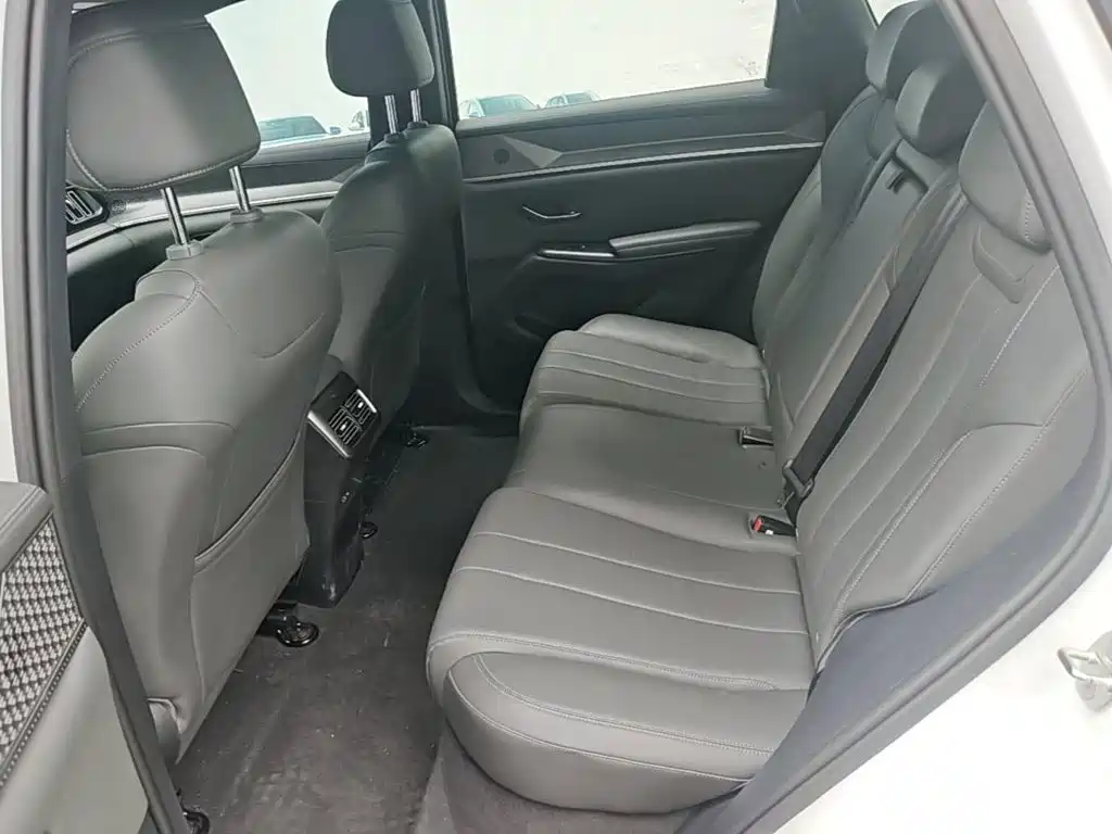 BYD Song Pro New Energy 2025 — фото 17