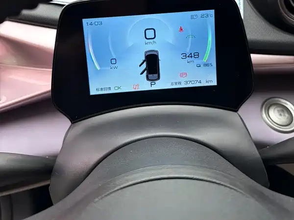 BYD Dolphin 2021