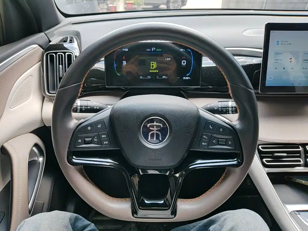 BYD Song Pro New Energy 2024 — фото 11