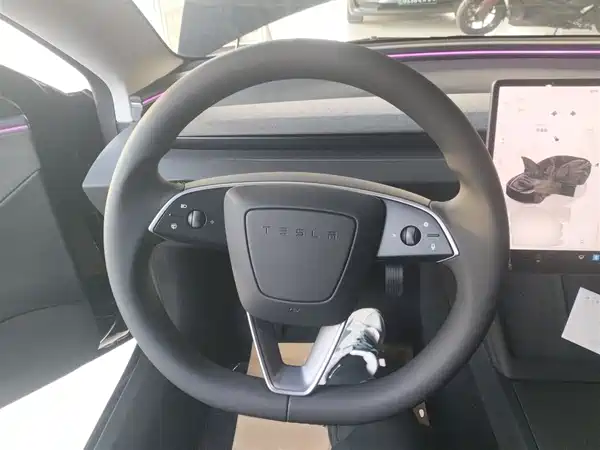 Tesla Model 3 2025