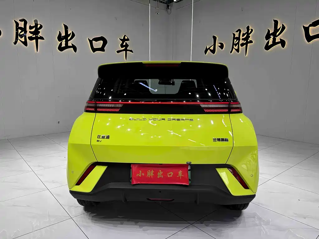 BYD Seagull 2024