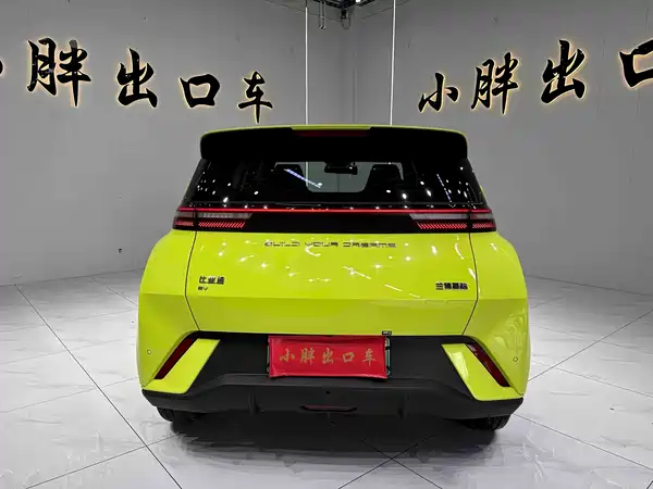BYD Seagull 2024