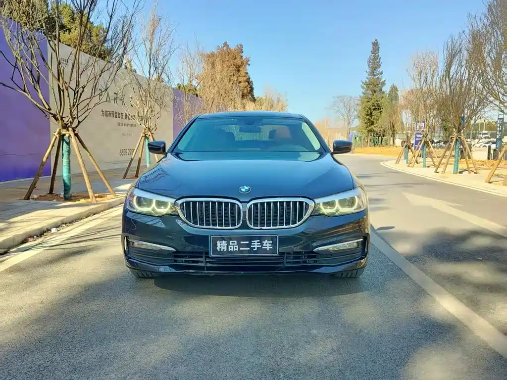 BMW 5 Series 2017 — фото 2