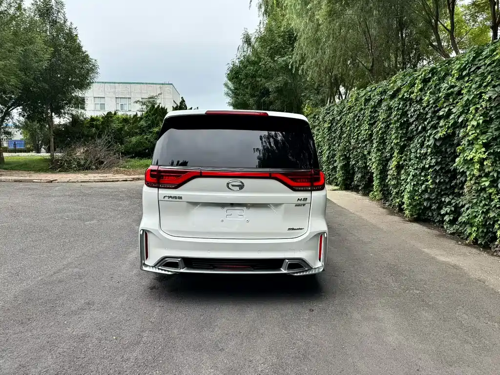 GAC Trumpchi M8 2021 — фото 4