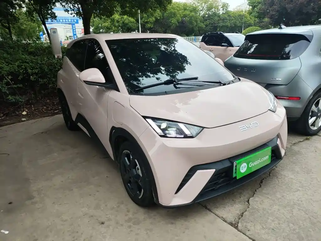 BYD Seagull 2024