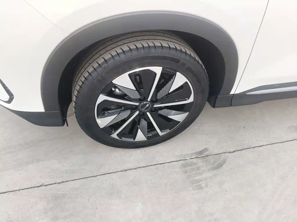BYD Song PLUS New Energy 2025 — фото 23