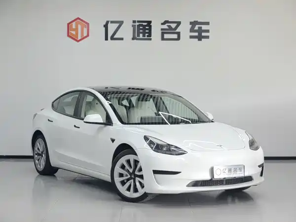 Tesla Model 3 2021