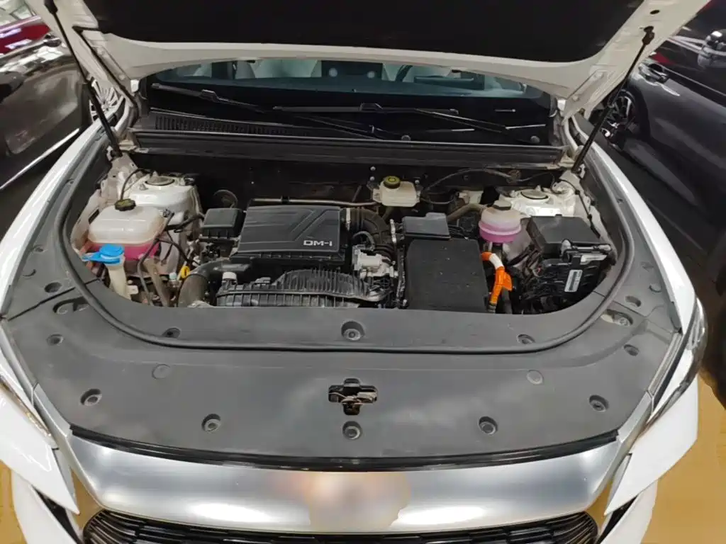 BYD Song Pro New Energy 2024 — фото 20