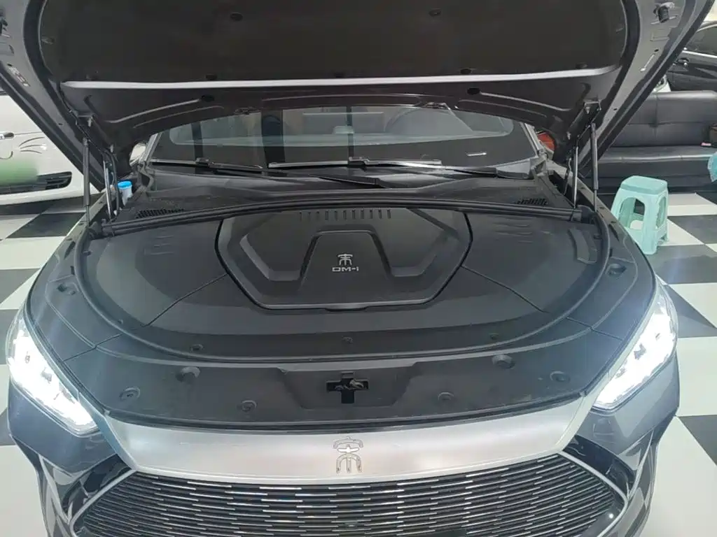BYD Song PLUS New Energy 2022 — фото 20