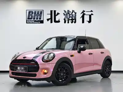 MINI MINI 2015